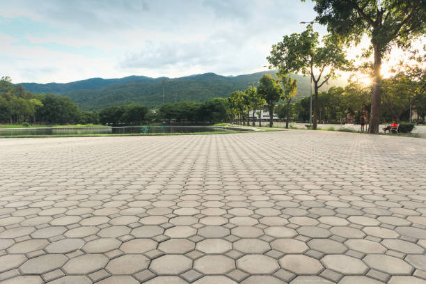 Best Paver Driveway Replacement  in Pageland, SC